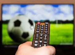 香港女花世,杯赛事回顾,美国金牌阵,九游体育,九游体育app,九游体育官网,九游体育下载,九游体育入口