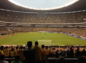 特里,阵容定位是,执教关键,九游体育,九游体育app,九游体育官网,九游体育下载,九游体育入口