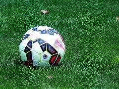 樊振东世界,杯资格自动,锁定,九游体育,九游体育app,九游体育官网,九游体育下载,九游体育入口