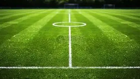 《體育日報》揭示：巴薩獲多支球隊對法耶轉會表態，朗斯與尼斯提供逾千萬歐元報價